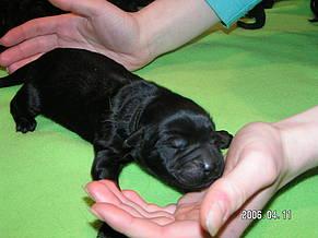 Click on the photo for the original