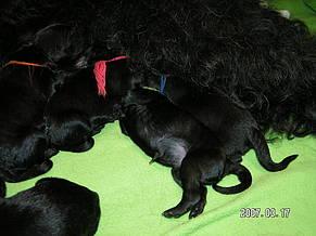 Click on the photo for the original