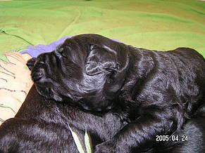 Click on the photo for the original