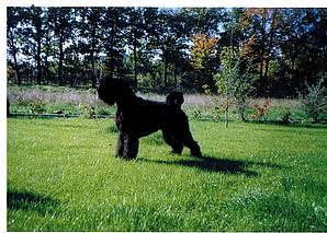 Click on the photo for the original