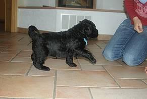 Click on the photo for the original