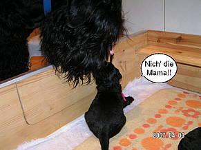 Click on the photo for the original