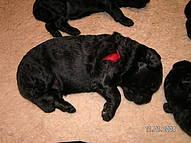 Click on the photo for the original