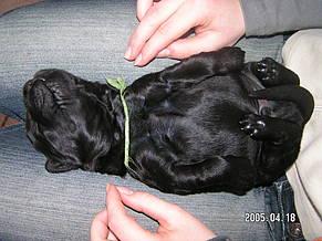 Click on the photo for the original