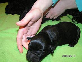 Click on the photo for the original