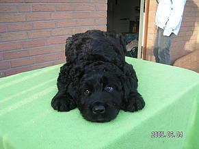 Click on the photo for the original