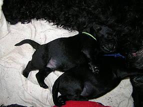 Click on the photo for the original