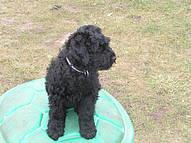 Click on the photo for the original