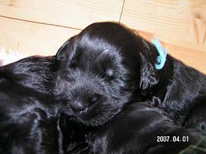 Click on the photo for the original