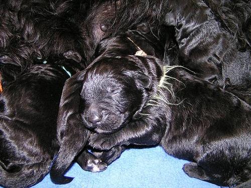 Click on the photo for the original