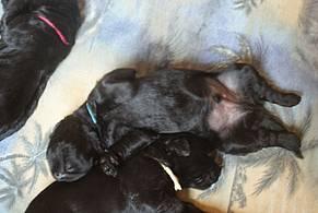 Click on the photo for the original