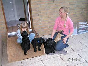 Click on the photo for the original