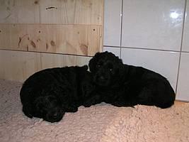 Click on the photo for the original