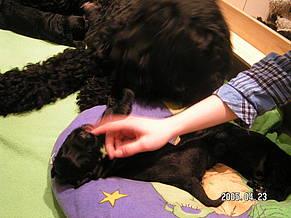 Click on the photo for the original