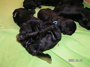 Click on the photo for the original