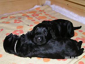 Click on the photo for the original