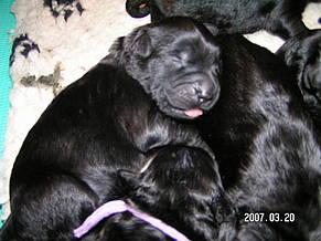 Click on the photo for the original