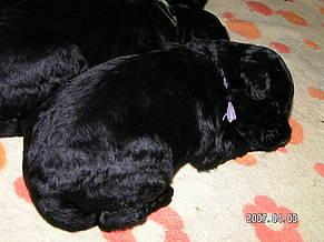 Click on the photo for the original