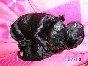 Click on the photo for the original