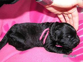 Click on the photo for the original