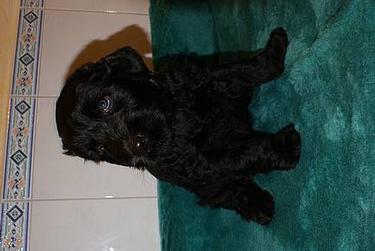 Click on the photo for the original