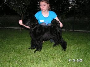 Click on the photo for the original