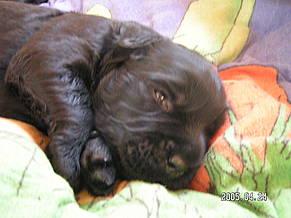 Click on the photo for the original