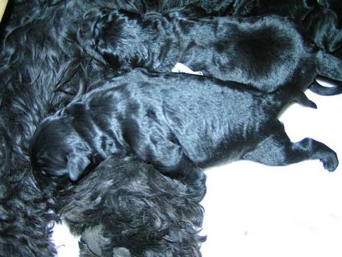 Click on the photo for the original