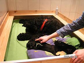 Click on the photo for the original