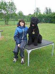 Click on the photo for the original