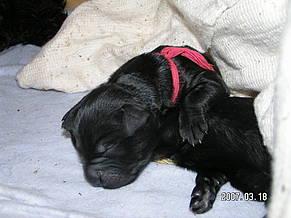 Click on the photo for the original