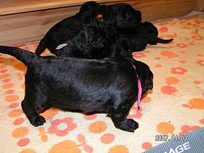 Click on the photo for the original