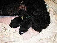 Click on the photo for the original