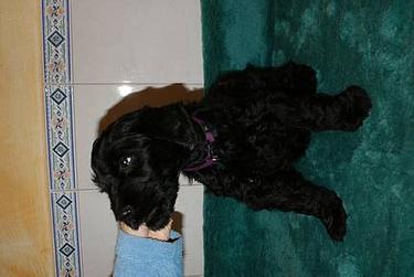 Click on the photo for the original