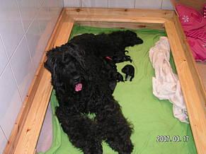 Click on the photo for the original