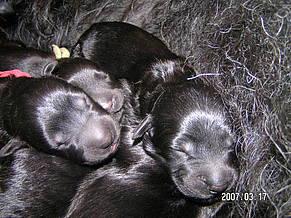 Click on the photo for the original