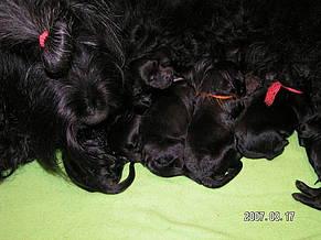 Click on the photo for the original