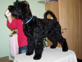 Click on the photo for the original