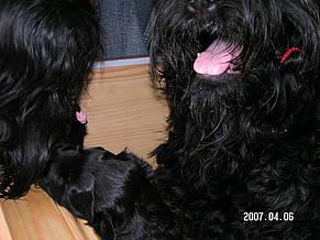 Click on the photo for the original