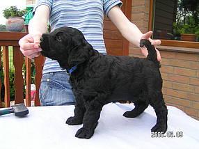 Click on the photo for the original