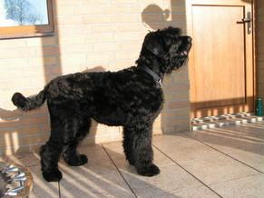 Click on the photo for the original