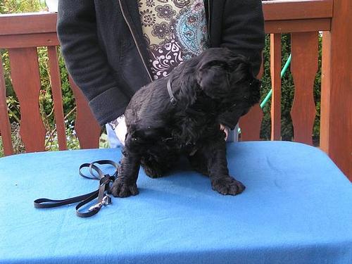 Click on the photo for the original