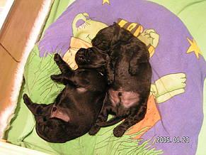 Click on the photo for the original