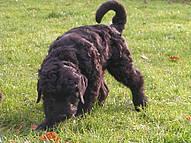 Click on the photo for the original