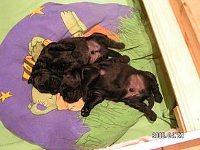 Click on the photo for the original