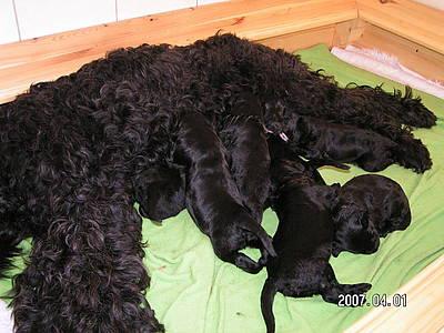 Click on the photo for the original