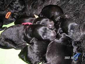 Click on the photo for the original