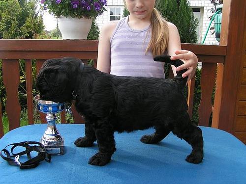 Click on the photo for the original