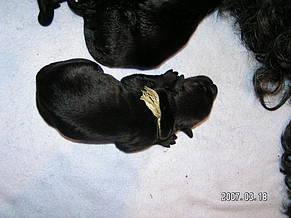 Click on the photo for the original