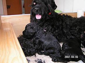 Click on the photo for the original